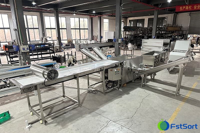 images/1706257872307blueberry sorting machine.jpg